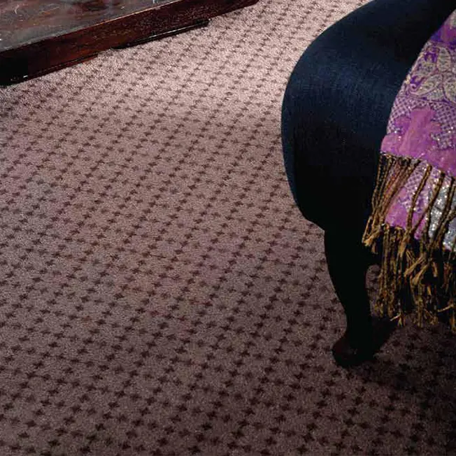 Senator 10 Senator 10