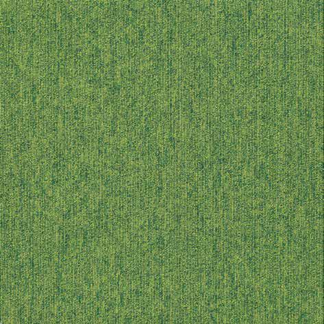 Queen Plus 05 Queen Plus 05