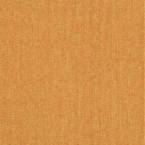 Queen Plus 01 Queen Plus 01