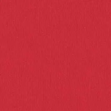 King Plus red rose King Plus red rose