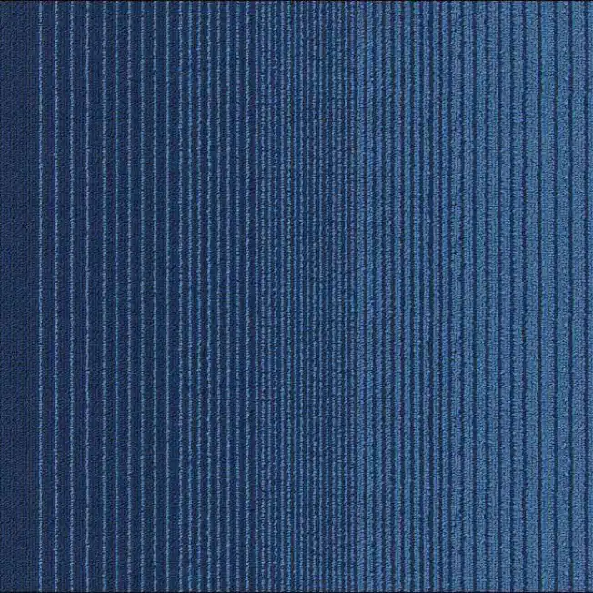 Olivia blue Olivia blue