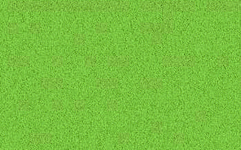 BOSTON green BOSTON green