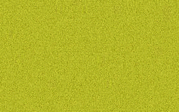 BOSTON yellow BOSTON yellow