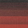 PRIMA GRADUAL red