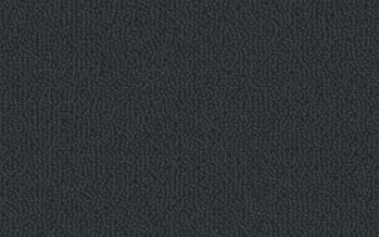 BOSTON black BOSTON black