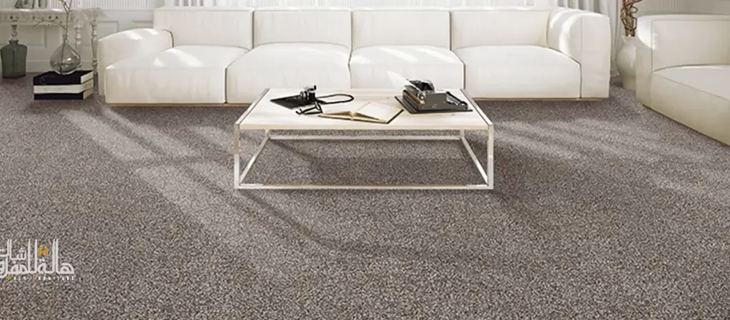 Nylon Carpet