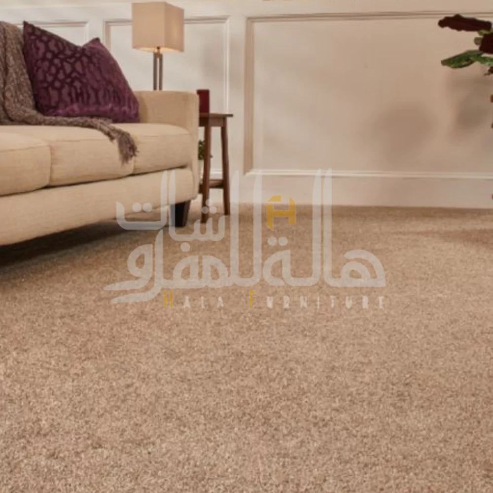 Color 13 Beige Carpets