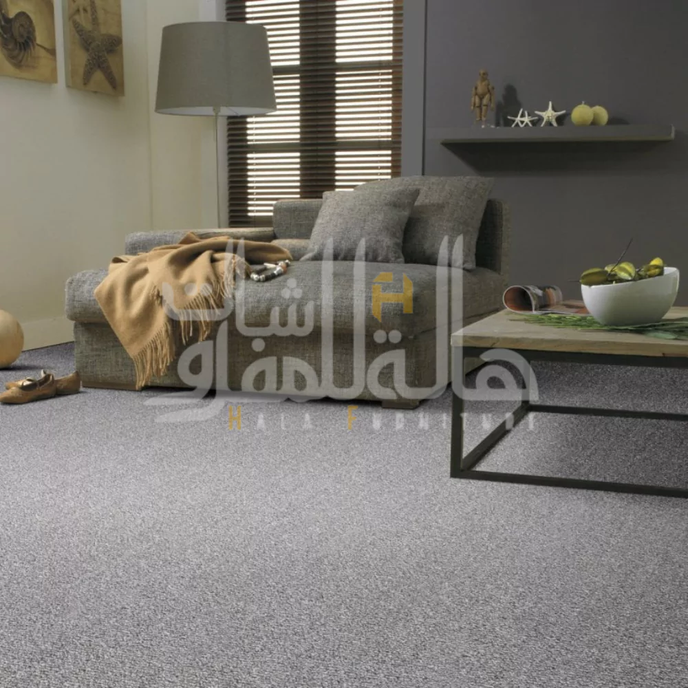 Color 7 Grey Carpets