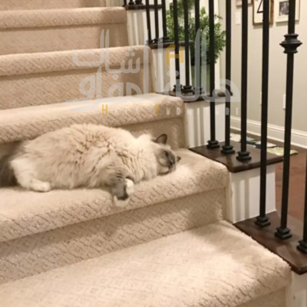 Pet Friendly Carpets